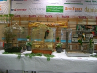 Zdj�cie: w201653.jpg