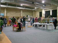 Zdj�cie: w201655.jpg