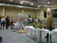 Zdj�cie: w201662.jpg