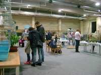 Zdj�cie: w201663.jpg