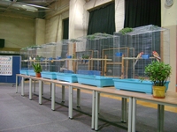 Zdj�cie: w201665.jpg