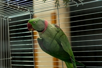 Zdj�cie: w20167.jpg