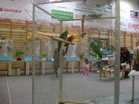 Zdj�cie: w201671.jpg