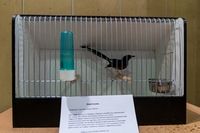 Zdj�cie: w20168.jpg